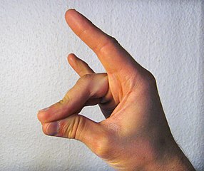 Elberfeld: CDU-Linksaußen-Mann will Bau von DITIB-Repräsentativ-Moschee vorantreiben